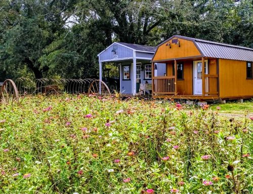 Six Oaks Farm – Jonesville, South Carolina